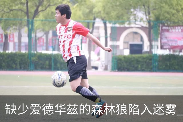 缺少爱德华兹的森林狼陷入迷雾 球员们难以适应新局面